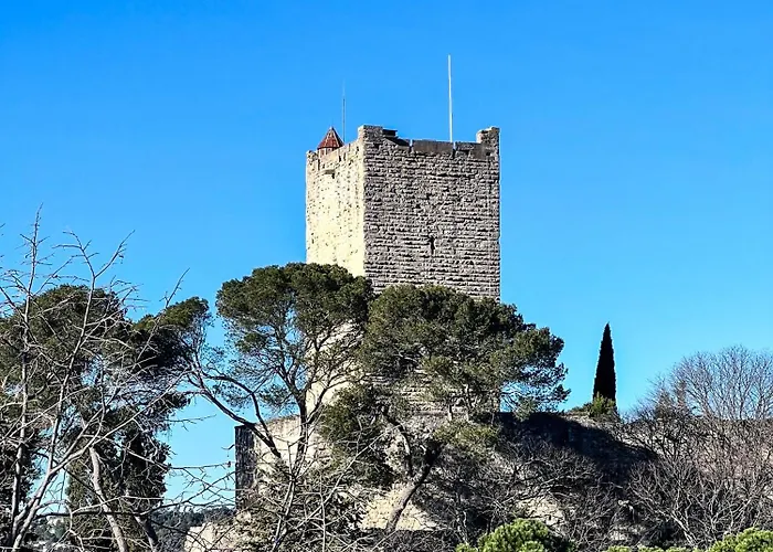 L'olivette De Sommieres, Belle Maison Calme A Quelques Minutes Du Centre Historique * Sommières